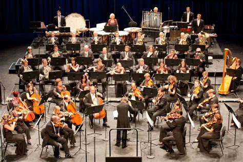 productivity software definition: A Symphony of Efficiency in the Digital Orchestra